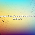 Question : Pourquoi les piments bananes deviennent-ils rouges ?